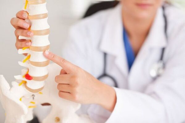 medicul demonstrează un model al coloanei vertebrale